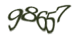 Введите код с изображения