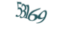 Введите код с изображения